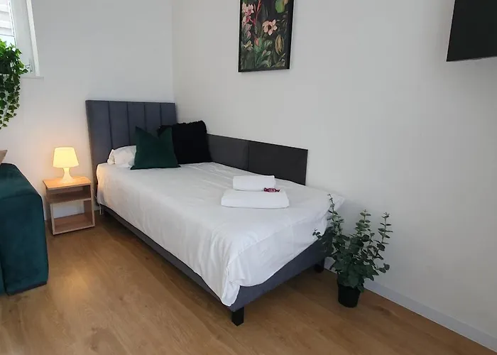 Vesta M52 Free Parking